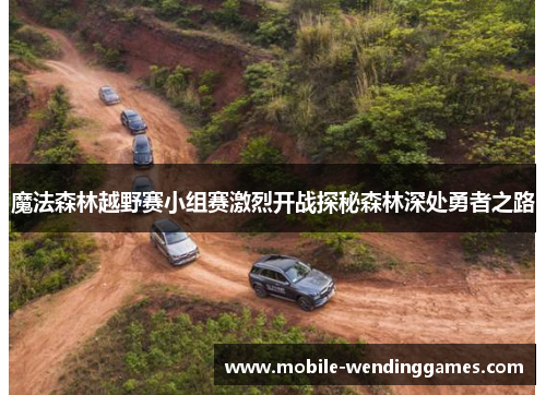 魔法森林越野赛小组赛激烈开战探秘森林深处勇者之路