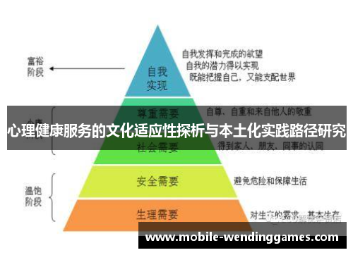 心理健康服务的文化适应性探析与本土化实践路径研究