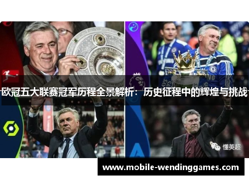 欧冠五大联赛冠军历程全景解析：历史征程中的辉煌与挑战