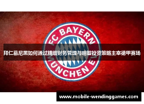 拜仁慕尼黑如何通过精细财务管理与明智投资策略主宰德甲赛场
