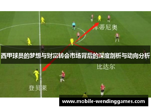 西甲球员的梦想与财富转会市场背后的深度剖析与动向分析