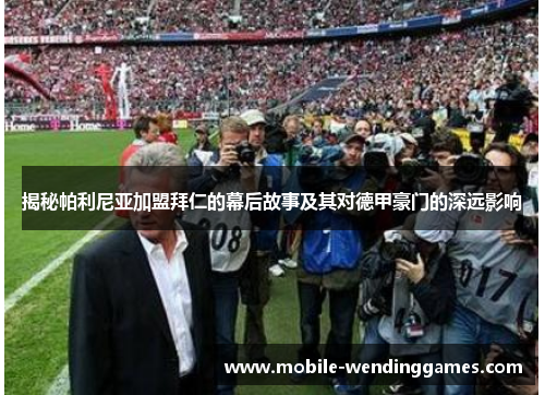 揭秘帕利尼亚加盟拜仁的幕后故事及其对德甲豪门的深远影响