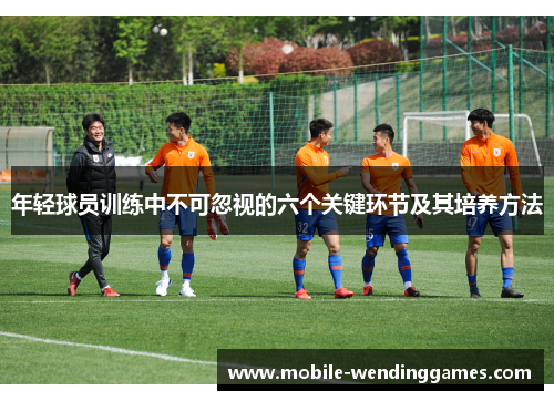 年轻球员训练中不可忽视的六个关键环节及其培养方法