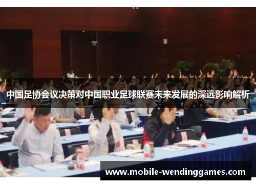 中国足协会议决策对中国职业足球联赛未来发展的深远影响解析