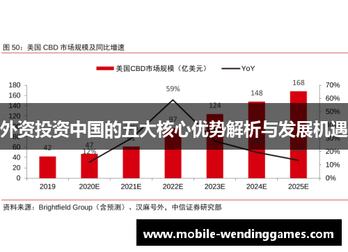 外资投资中国的五大核心优势解析与发展机遇