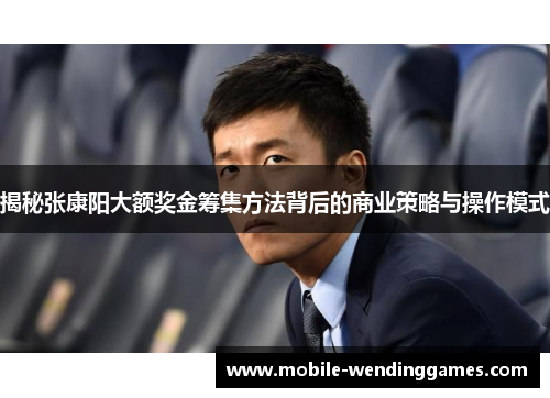 揭秘张康阳大额奖金筹集方法背后的商业策略与操作模式