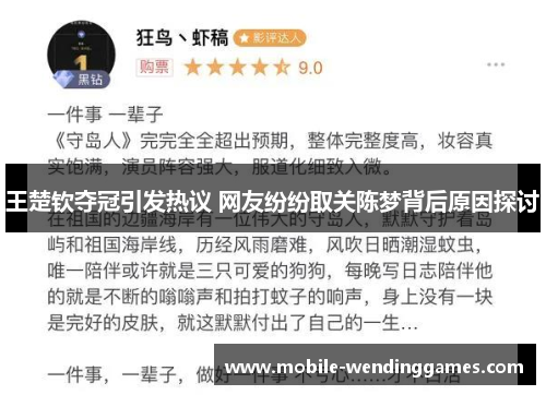 王楚钦夺冠引发热议 网友纷纷取关陈梦背后原因探讨