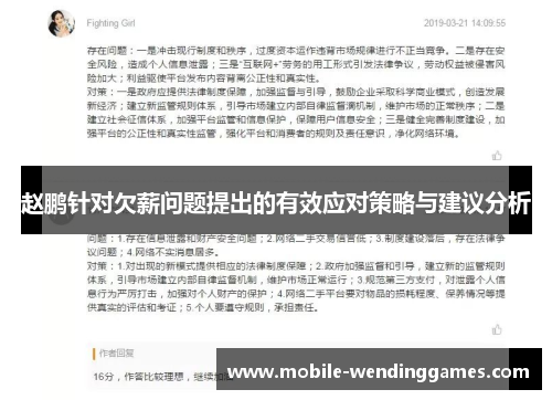 赵鹏针对欠薪问题提出的有效应对策略与建议分析