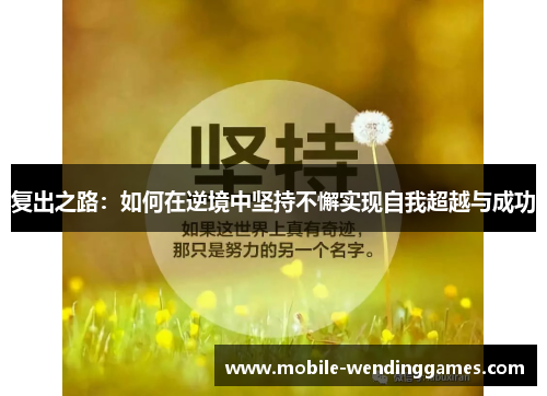 复出之路：如何在逆境中坚持不懈实现自我超越与成功