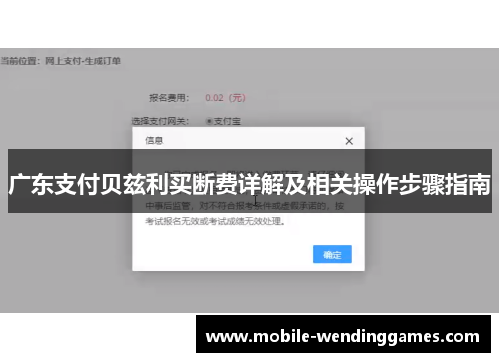 广东支付贝兹利买断费详解及相关操作步骤指南