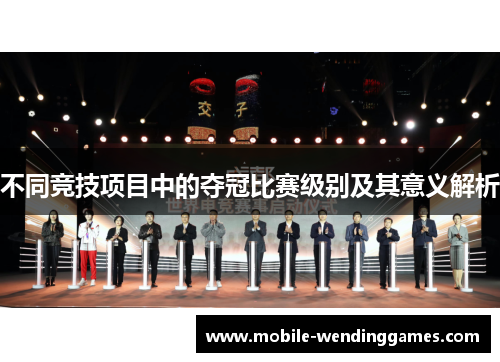 不同竞技项目中的夺冠比赛级别及其意义解析