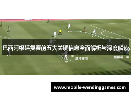 巴西阿根廷复赛前五大关键信息全面解析与深度解读