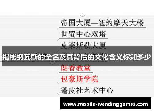 揭秘纳瓦斯的全名及其背后的文化含义你知多少