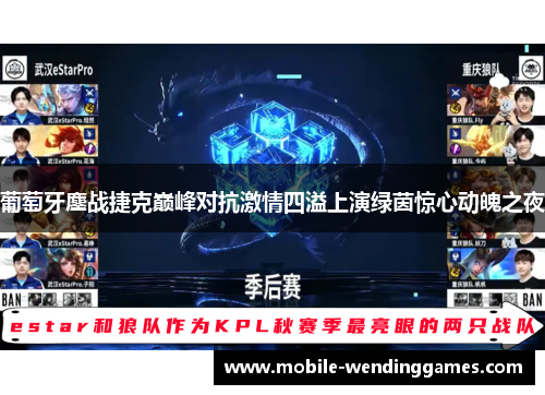 葡萄牙鏖战捷克巅峰对抗激情四溢上演绿茵惊心动魄之夜
