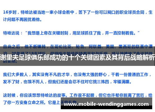 谢里夫足球俱乐部成功的十个关键因素及其背后战略解析