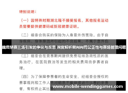 魏震禁赛三场引发的争议与反思 深度解析裁判判罚公正性与赛场管理问题