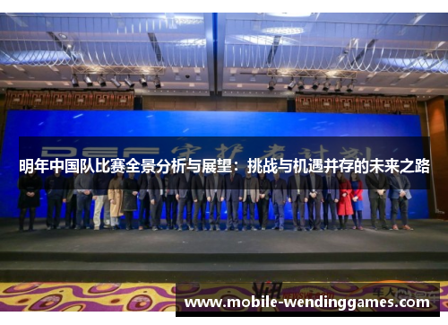 明年中国队比赛全景分析与展望：挑战与机遇并存的未来之路