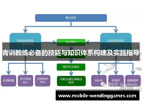 青训教练必备的技能与知识体系构建及实践指导