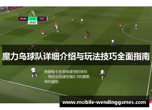 魔力鸟球队详细介绍与玩法技巧全面指南