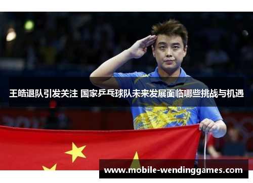 王皓退队引发关注 国家乒乓球队未来发展面临哪些挑战与机遇