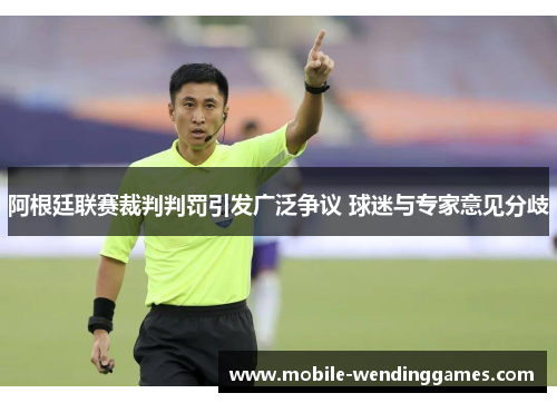 阿根廷联赛裁判判罚引发广泛争议 球迷与专家意见分歧
