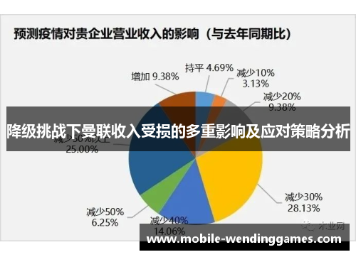 降级挑战下曼联收入受损的多重影响及应对策略分析