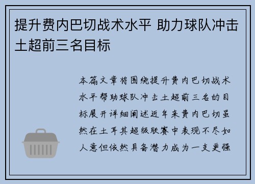 提升费内巴切战术水平 助力球队冲击土超前三名目标