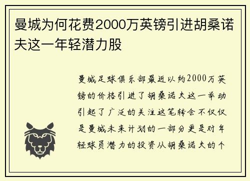 曼城为何花费2000万英镑引进胡桑诺夫这一年轻潜力股